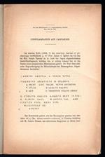 Consularfasten aus campanien