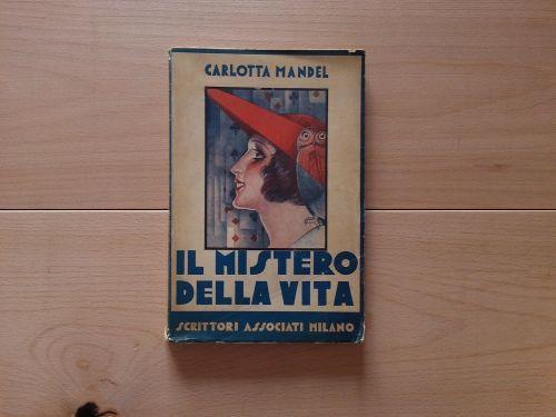 Il mistero della vita. Autografato - Carlotta Mandel - copertina