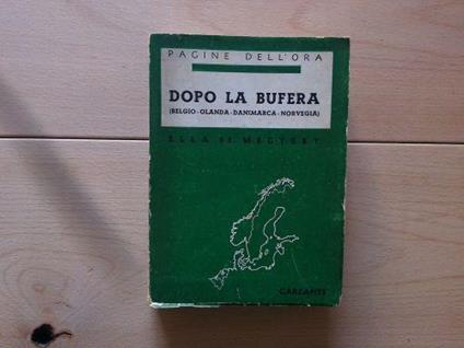 Dopo la bufera - Ella de Megyery - copertina