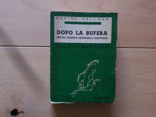 Dopo la bufera - Ella de Megyery - copertina