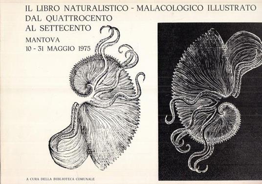 Naturalistico/Malacologico Quattrocento Settecento - copertina