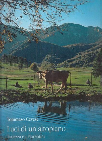 Luci di Un Altopiano - Tommaso Cevese - copertina