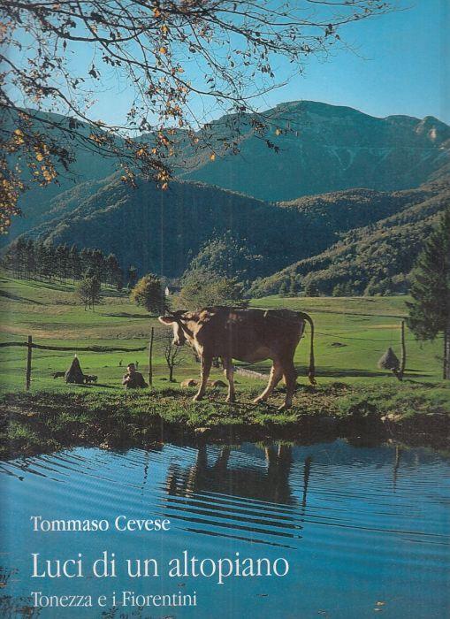 Luci di Un Altopiano - Tommaso Cevese - copertina