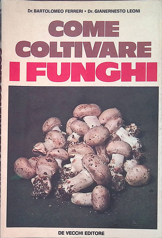 Folignolibri