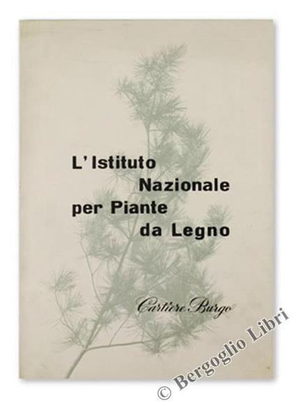 L' Istituto Nazionale Per Piante Da Legno - copertina