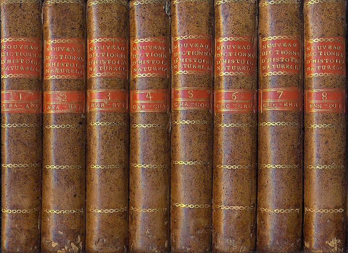 Libreria Cicerone
