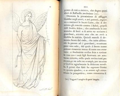 Descrizione delle pitture del Campo Santo di Pisa coll'indicazione dei Monumenti ivi raccolti - Giovanni Rosini - copertina