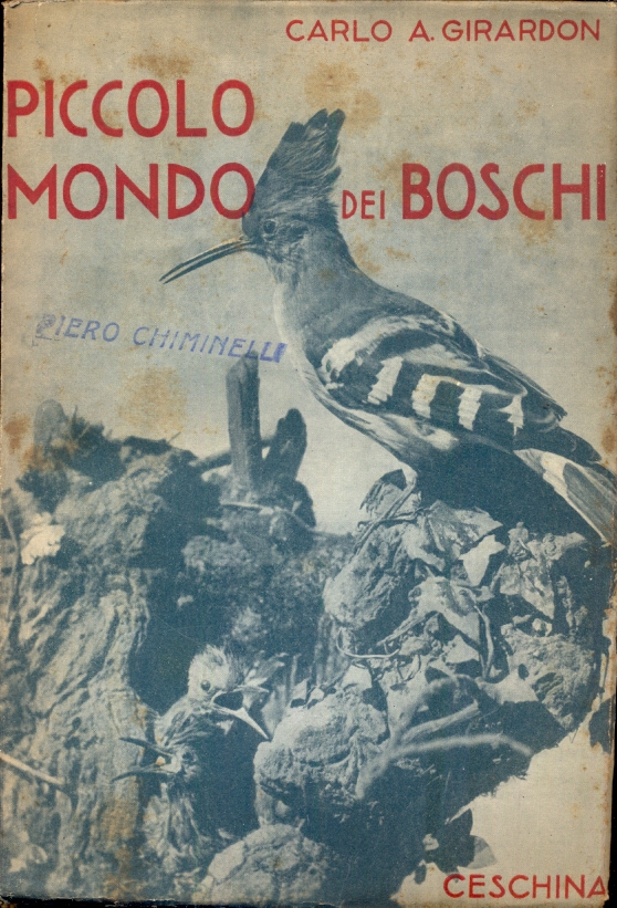 Libreria Cicerone