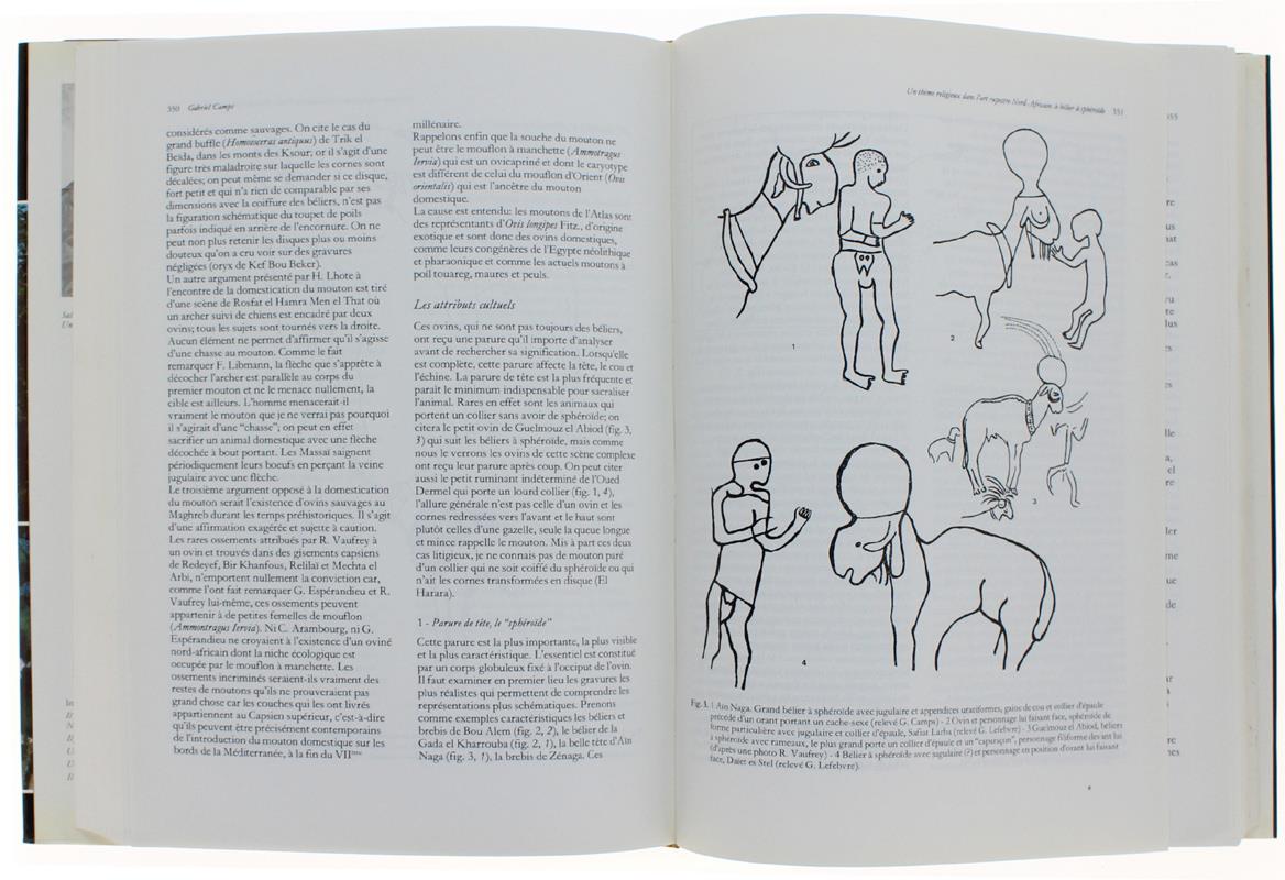 Studi Di Paletnologia In Onore Di Salvatore M.Puglisi