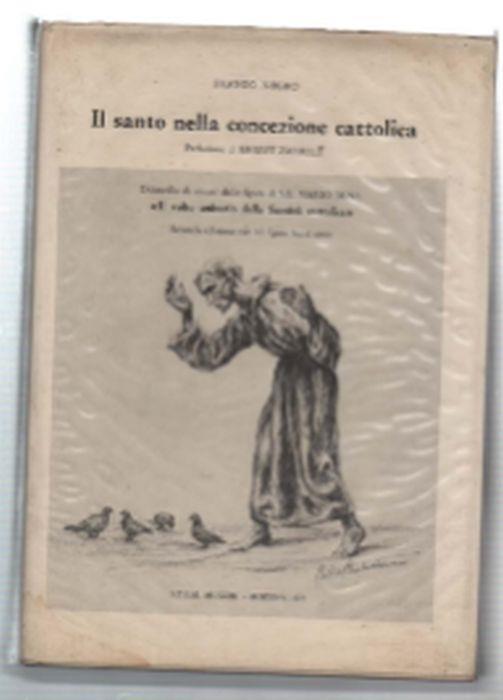 Il Santo Nella Concezione Cattolica - Franco Negro - copertina