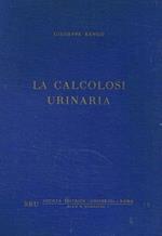 La calcolosi urinaria