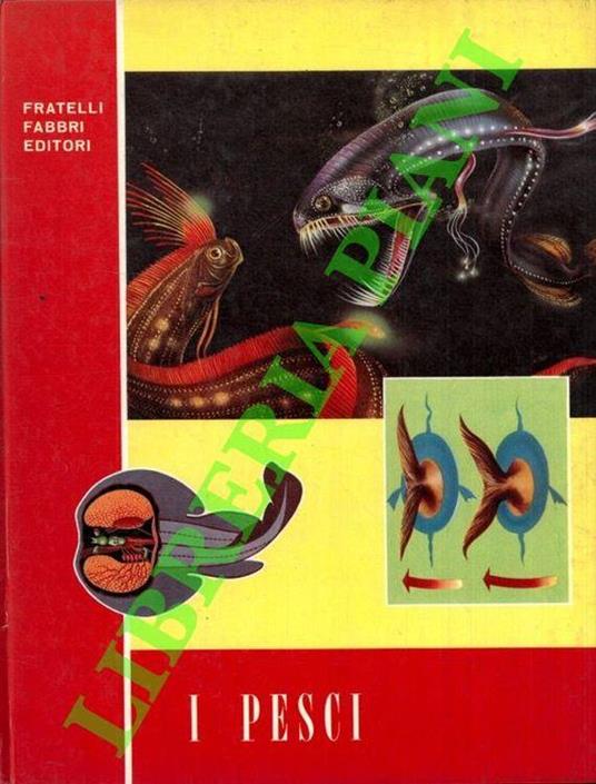 I Pesci - Vittorio Calvino - copertina