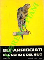 Gli arricciati del nord e del sud
