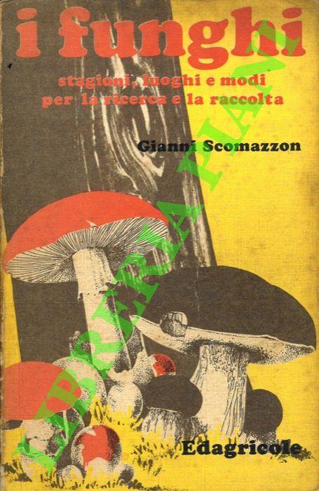 Libreria Piani