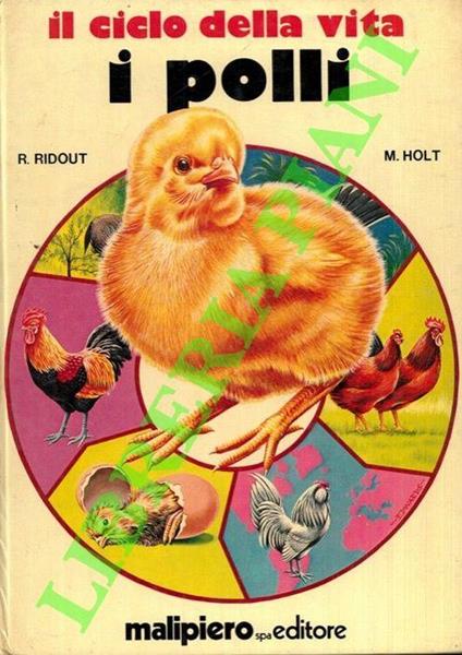 Il ciclo della vita. I polli - copertina