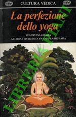 La perfezione dello yoga
