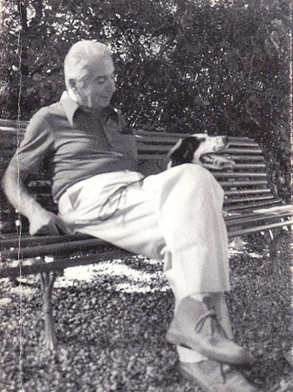 Uno Scrittore Come Brandi iconogrfia, Nota Biografica e Bibliografia Essenziale Di Cesare Brandi - Giuseppe Appella - copertina