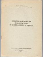 Indagini Idrogeologiche Sull'altipiano Di Castelluccio Di Norcia