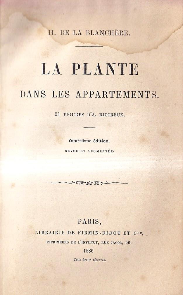 La Plante Dans Les Appartments
