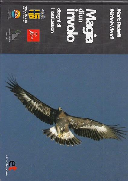 Magia in Volo - copertina