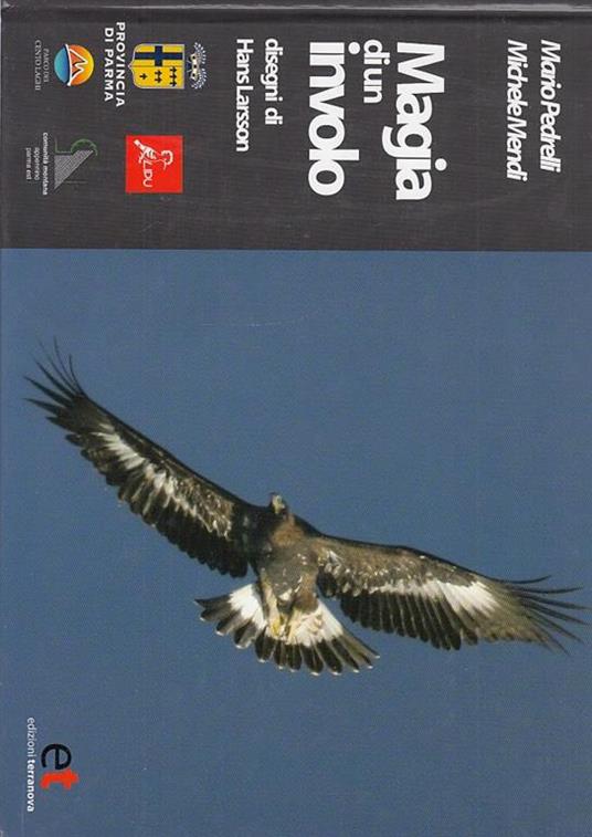 Magia in Volo - copertina