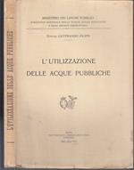 L' Utilizzazione Delle Acque Pubbliche Di: Dottor Liutprando Filippi