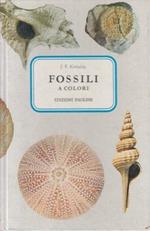 Fossili A Colori Di: J.F. Kirkaldy