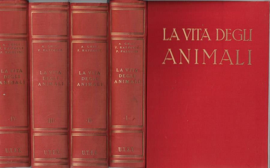 Biblioteca di Babele