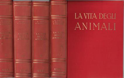 La vita degli animali - Pasquale Pasquini - copertina
