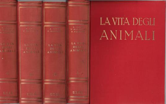La vita degli animali - Pasquale Pasquini - copertina