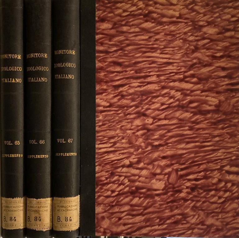 Biblioteca di Babele