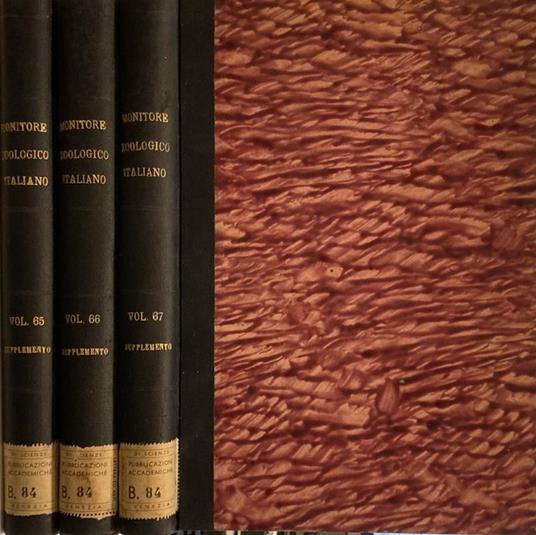 Atti della Società Italiana di anatomia - copertina