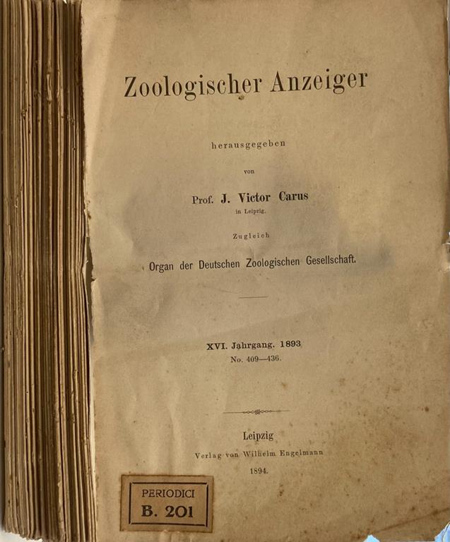 Biblioteca di Babele