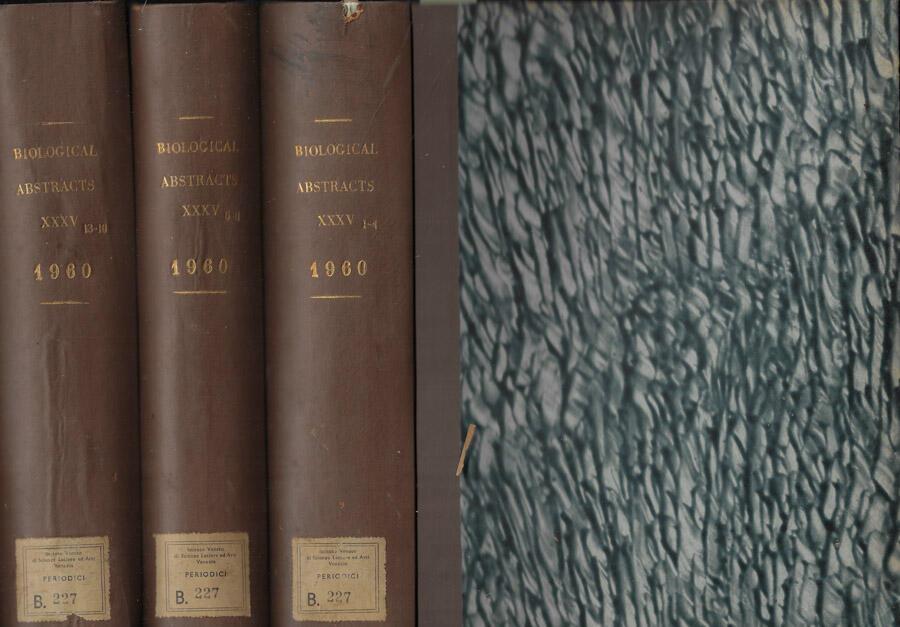 Biblioteca di Babele