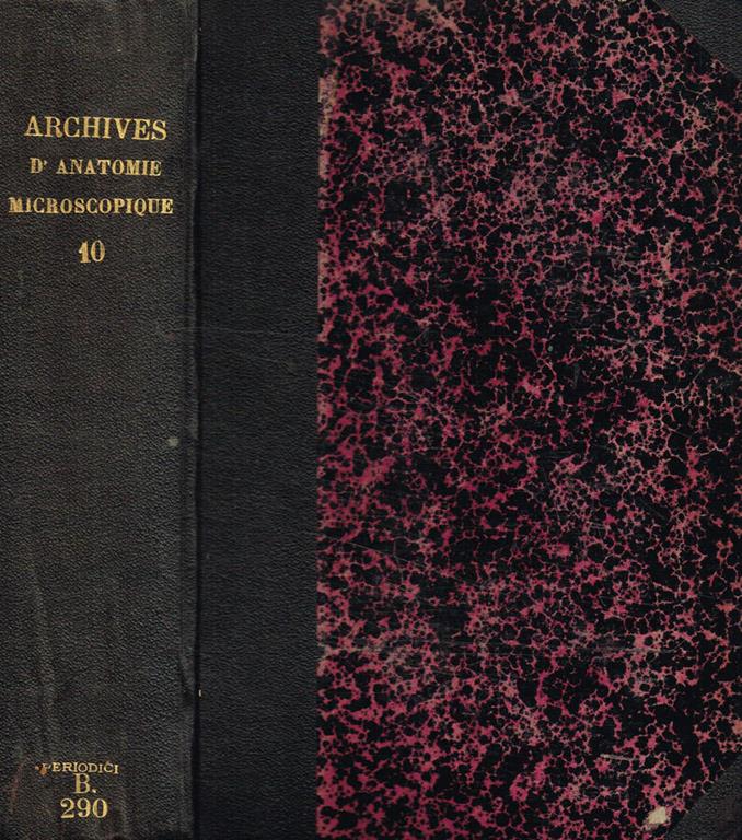 Biblioteca di Babele