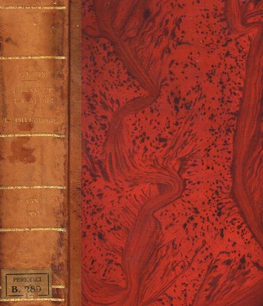 Journal de l'anatomie et de la physiologie normales et pathologiques de l'homme et des animaux anno 1904 - copertina