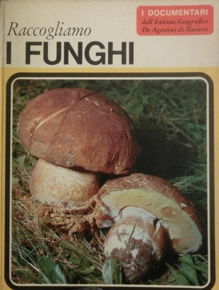 Raccogliamo i funghi