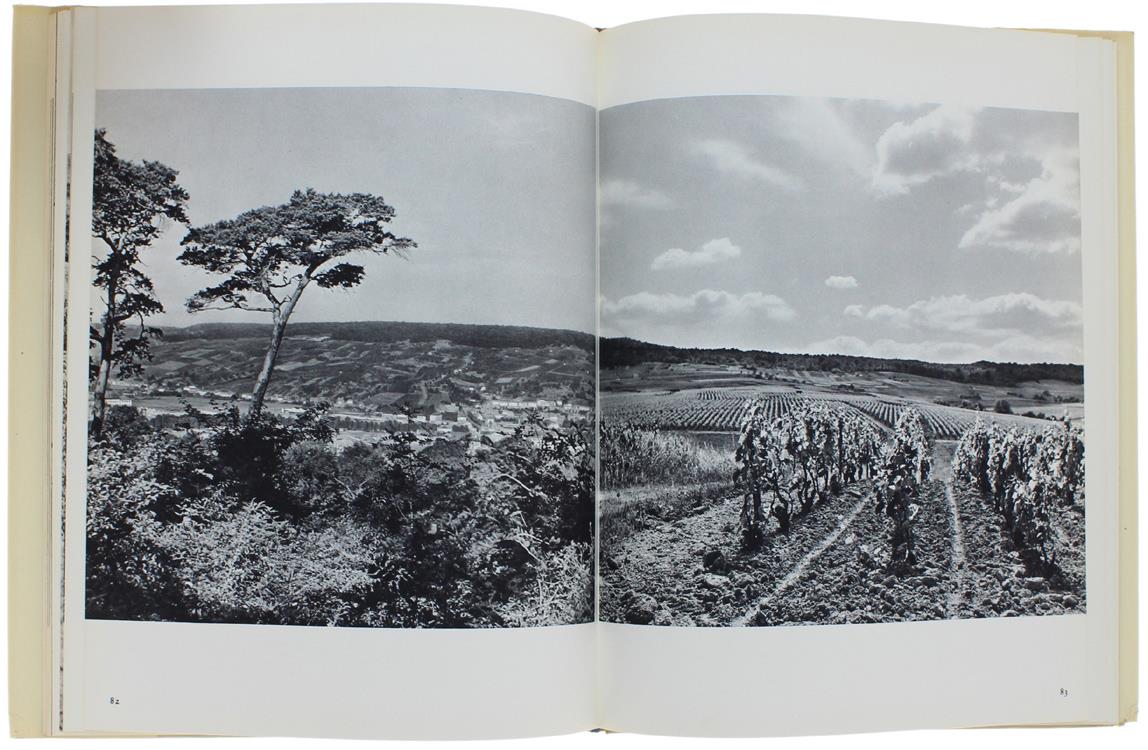 Champagne. Photographies De Gerald Maurois Et Augustin Dumage