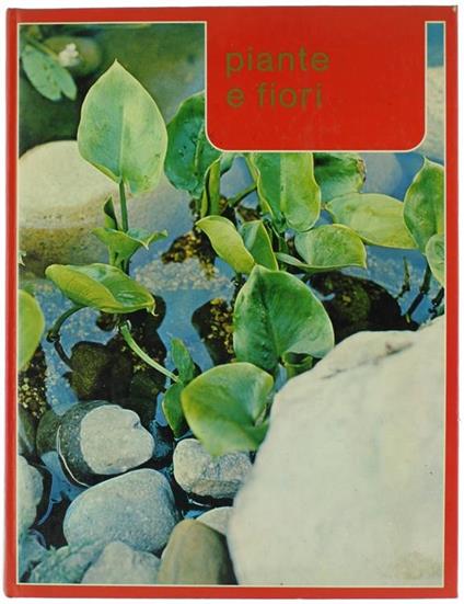 Piante E Fiori - copertina