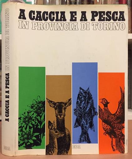A Caccia E A Pesca In Provincia Di Torino - copertina