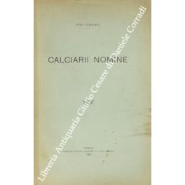 Calciarii nomine - Nino Tamassia - copertina