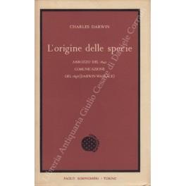 Libreria Antiquaria Giulio Cesare