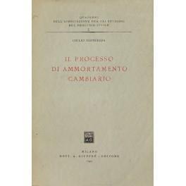 Il processo di ammortamento cambiario - copertina