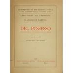 Del possesso della denunzia di nuova opera e di danno temuto. Art. 1140-1172