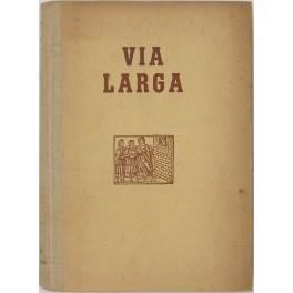 Via larga - Piero Bargellini - copertina