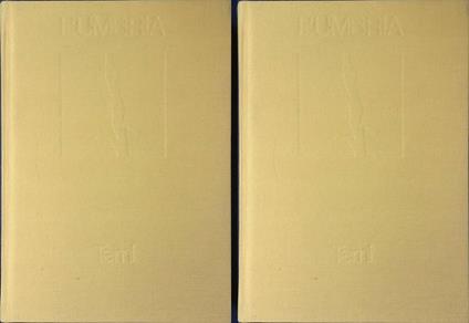 L' Umbria. Manuali per il territorio. Terni. DUE VOLUMI - copertina