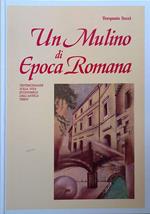 Un Mulino di epoca romana. Testimonianze sulla vita economica dell'antica Terni