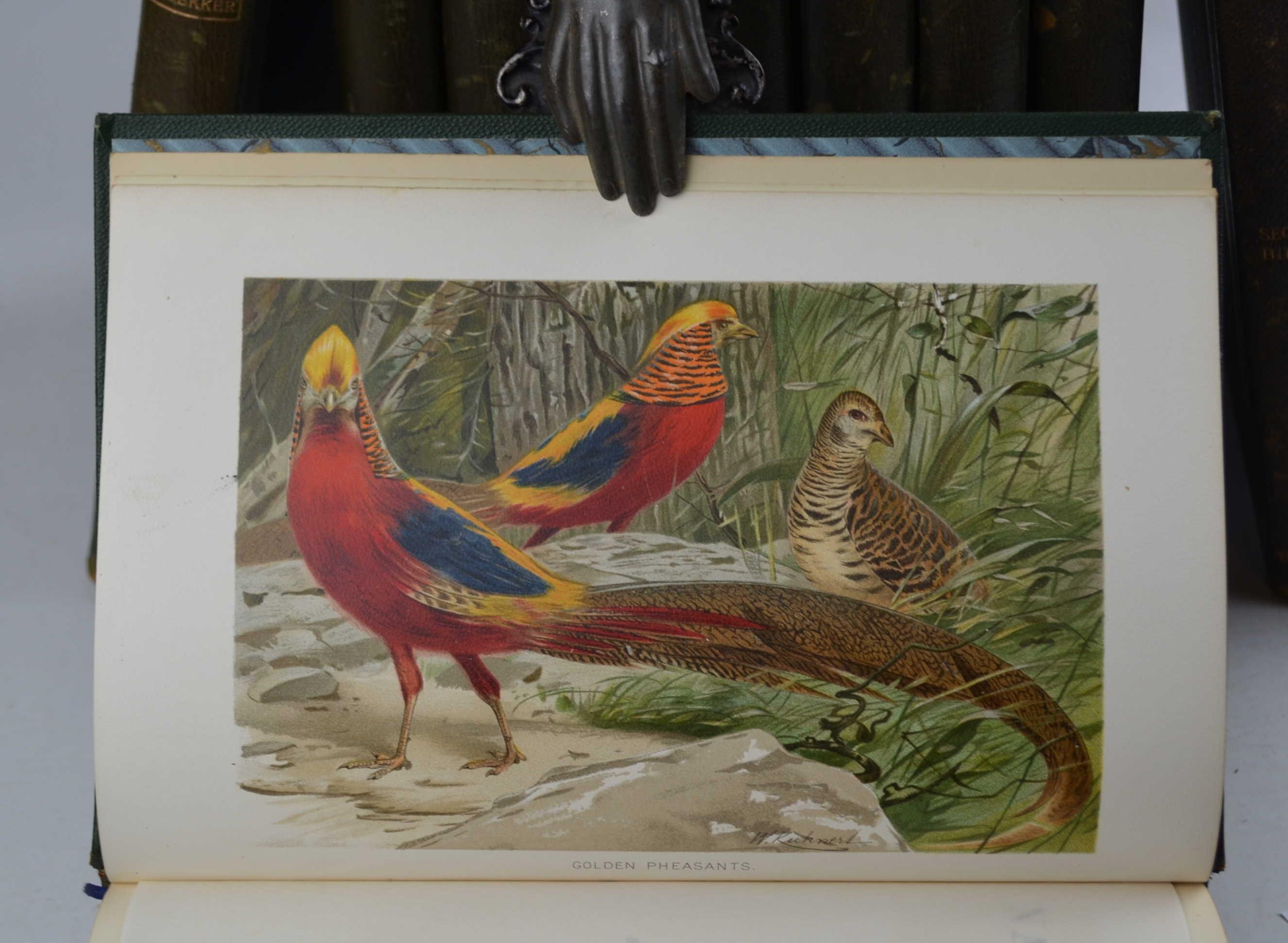 Studio bibliografico Benacense