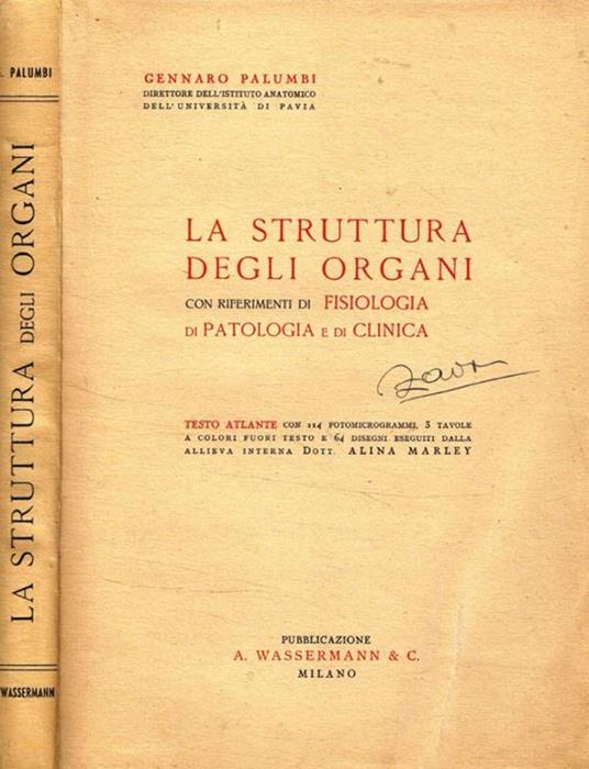 La struttura degli organi con riferimenti di fisiologia di patologia e di clinica - Giulio Palumbi - copertina