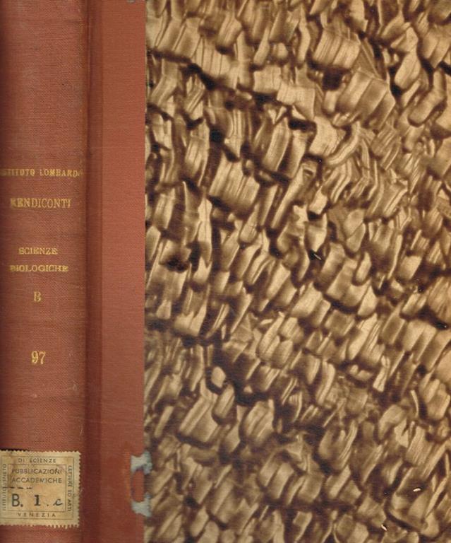 Biblioteca di Babele